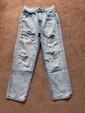 Willow & Root Light Wash Distressed Ripped Jeans
